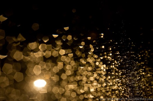 Day 55 - Rainy Bokeh