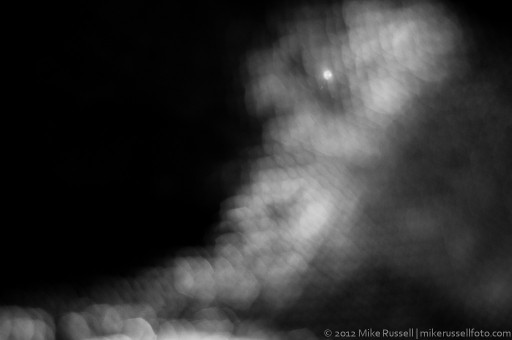 Day 50 - Light Abstract