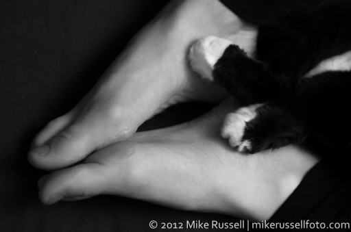 Day 279: Paws and Feet